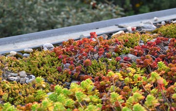 the cost of Craigmillar green roof installation