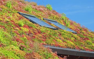 Craigmillar living roof systems