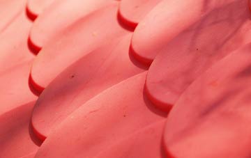 Craigmillar plastic roof costs