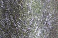 Craigmillar fibreglass roof work