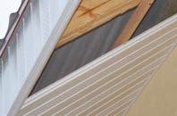 rated Craigmillar soffit repair companies